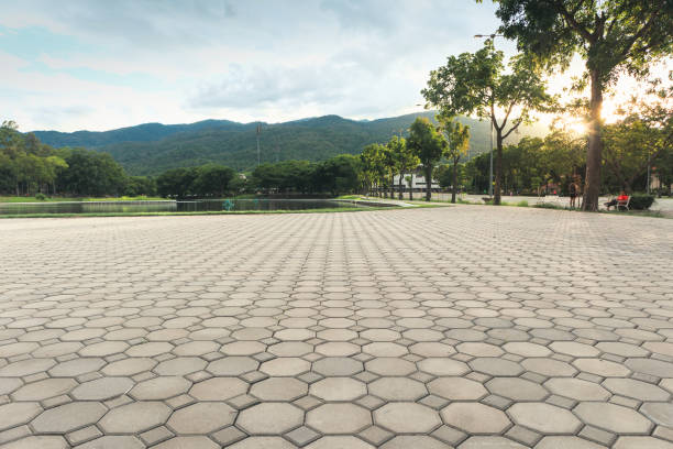 Best Decorative Driveway Pavers  in Lexington, VA